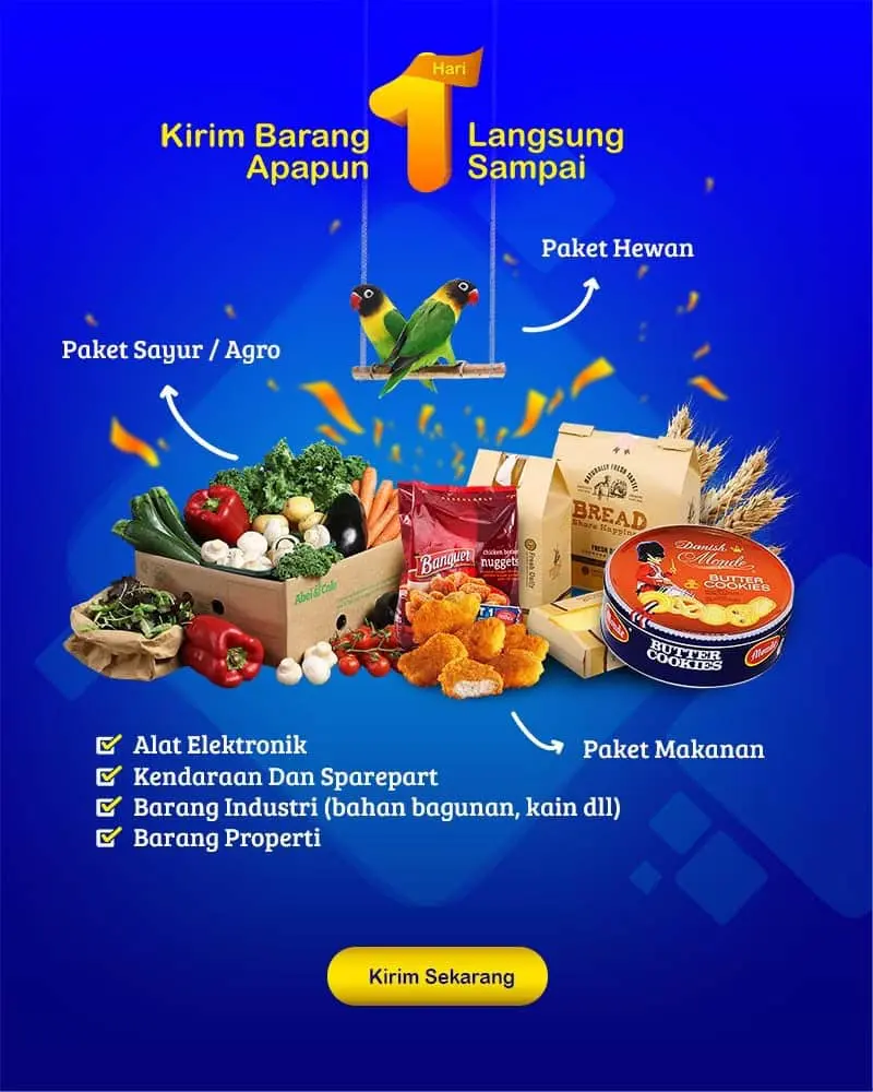 promo paket kilat -01