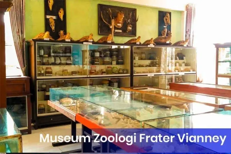 Museum Zoologi Frater Vianney