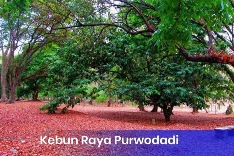 Kebun Raya Purwodadi