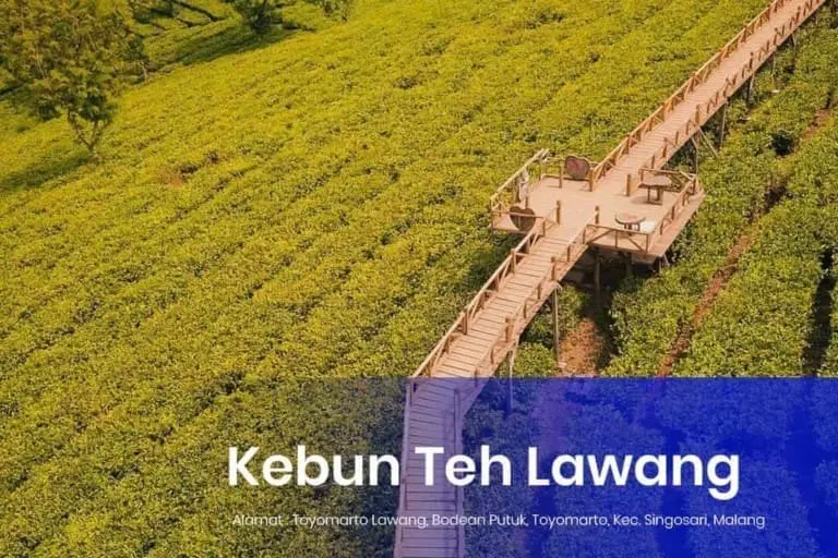 Kebun Teh Lawang