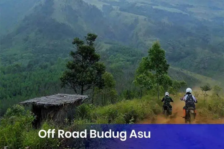 Off Road Budug Asu