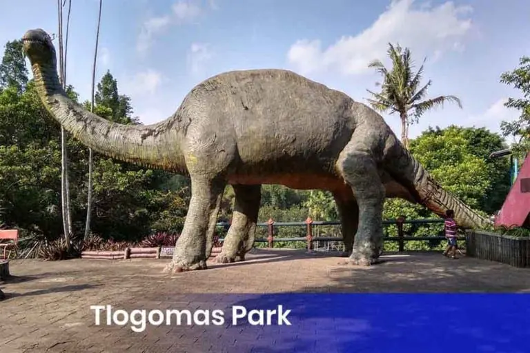 Tlogomas Park