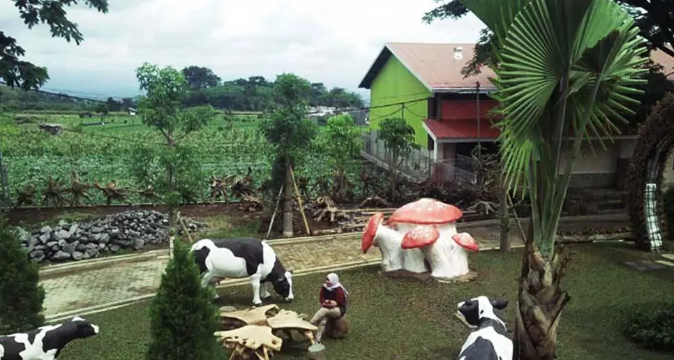 wisata susu batu