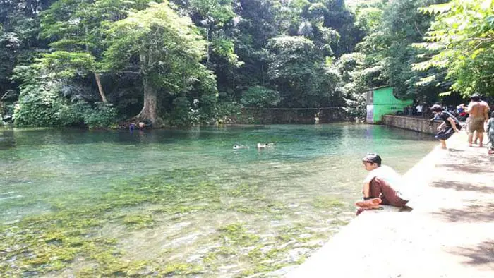 sumber sirah gondanglegi 2