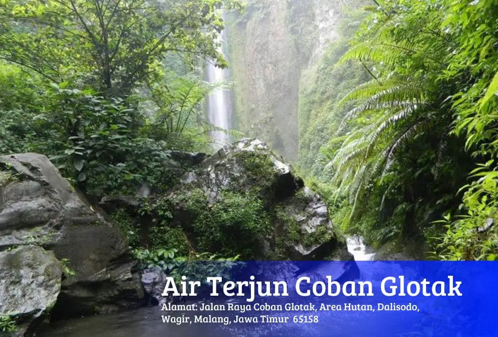 COBAN GLOTAK