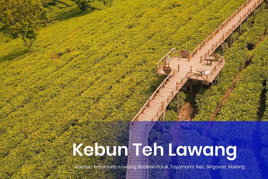 Kebun teh lawang