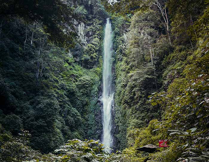 coban rais
